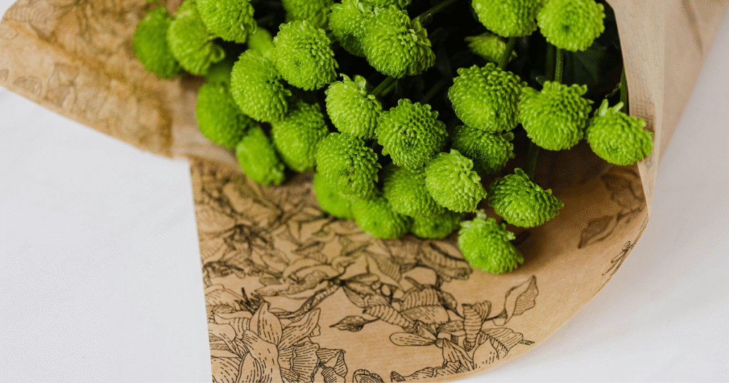 Ramo craspedia flores verdes