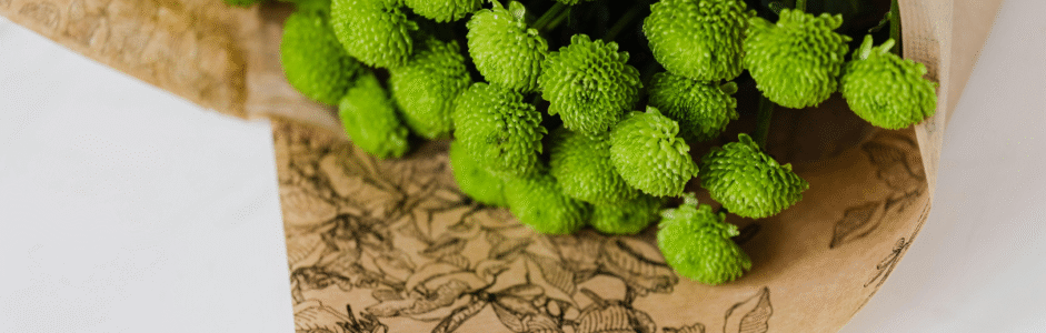 Las Flores Verdes Sí Existen: Cómo Redescubrir Tu Camino Al Vender Tu Casa Y Cerrar Un Ciclo