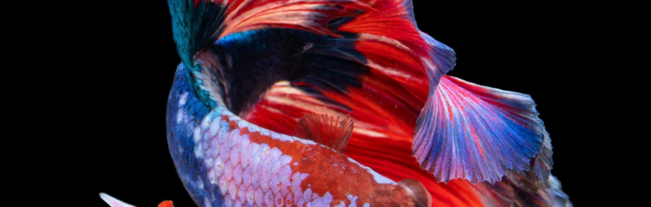 Cuidar A Un Paciente Con Alzheimer: No Dejes Que La Opinión De Otros Defina Tu Valor