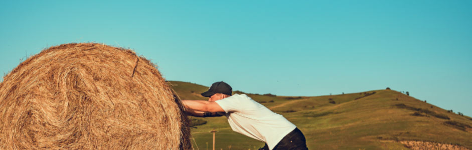 Confía, Persevera Y Triunfa: Cómo Enfrentar Obstáculos Y Seguir Adelante Como Cuidador Y En La Vida