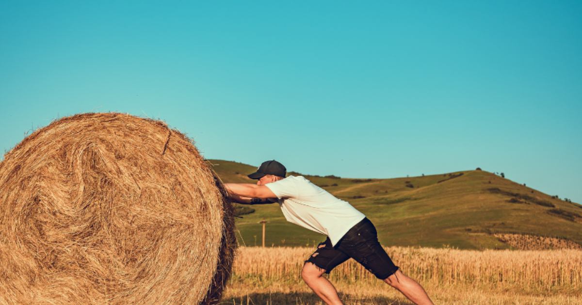 Hombre empujando rollo heno