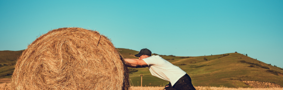 Confía, persevera y triunfa: Cómo enfrentar obstáculos y seguir adelante como cuidador y en la vida
